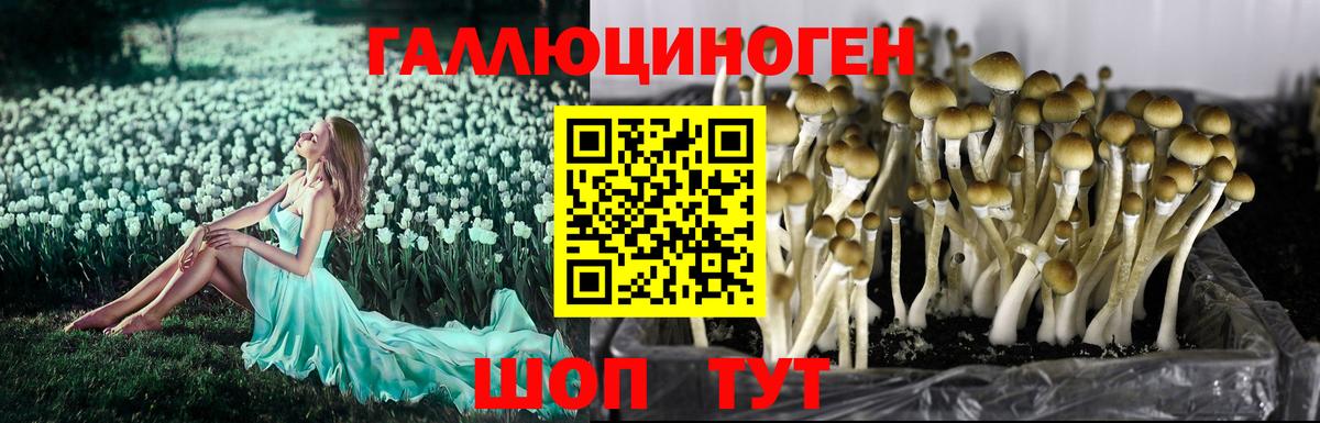Галлюциногенные грибы прущие грибы Зеленодольск