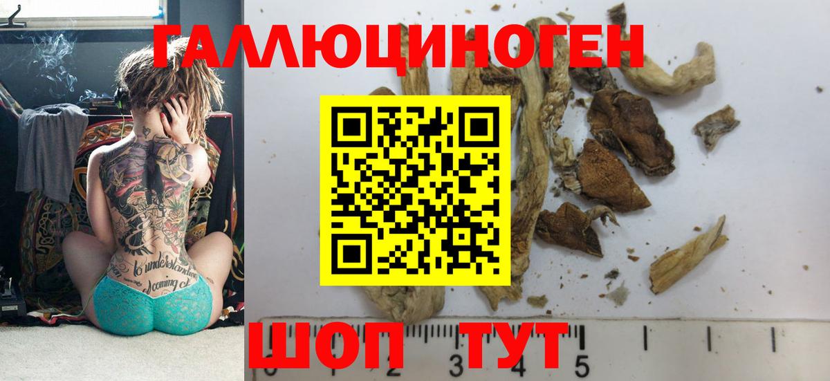 продажа наркотиков  Галлюциногенные грибы Psilocybine cubensis  Зеленодольск  Вход с VPN  Псилоцибиновые грибы прущие грибы 